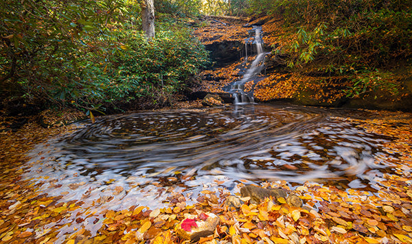 North Carolina Waterfalls In Autumn (October 24-27, 2024)